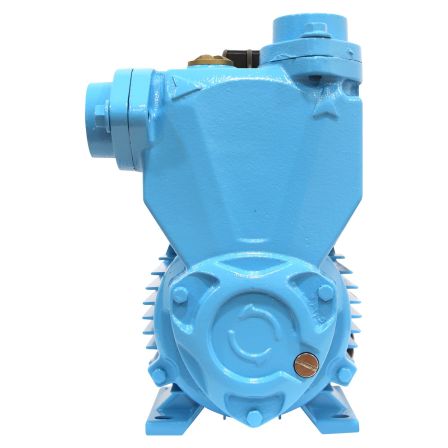 Motobomba de superficie periférica 1 Hp