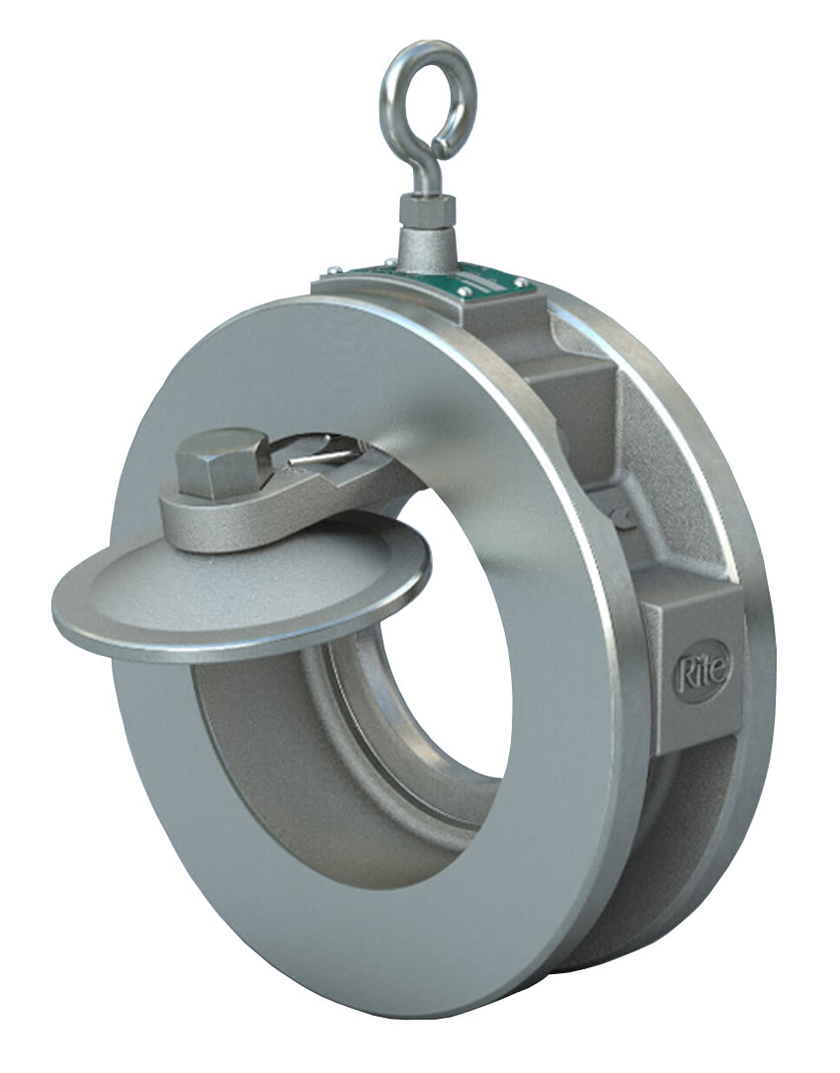 Imagen original del fabricante o proveedor: Válvula de retención RITEPRO CORPORATION — Modelos 201 / 203 / 205 / 210 / 212 / 312 / 260 / 211.