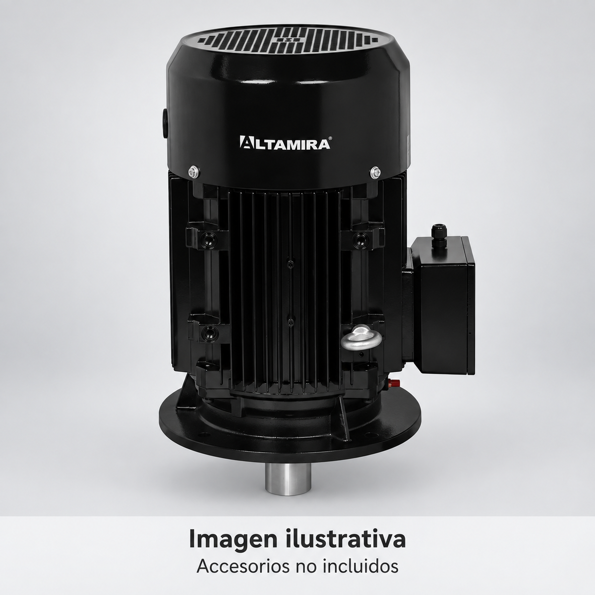 Imagen ilustrativa complementaria de motor vertical ALTAMIRA aislado, vista de estudio. Accesorios no incluidos. Consultar fotografía oficial y características del modelo.