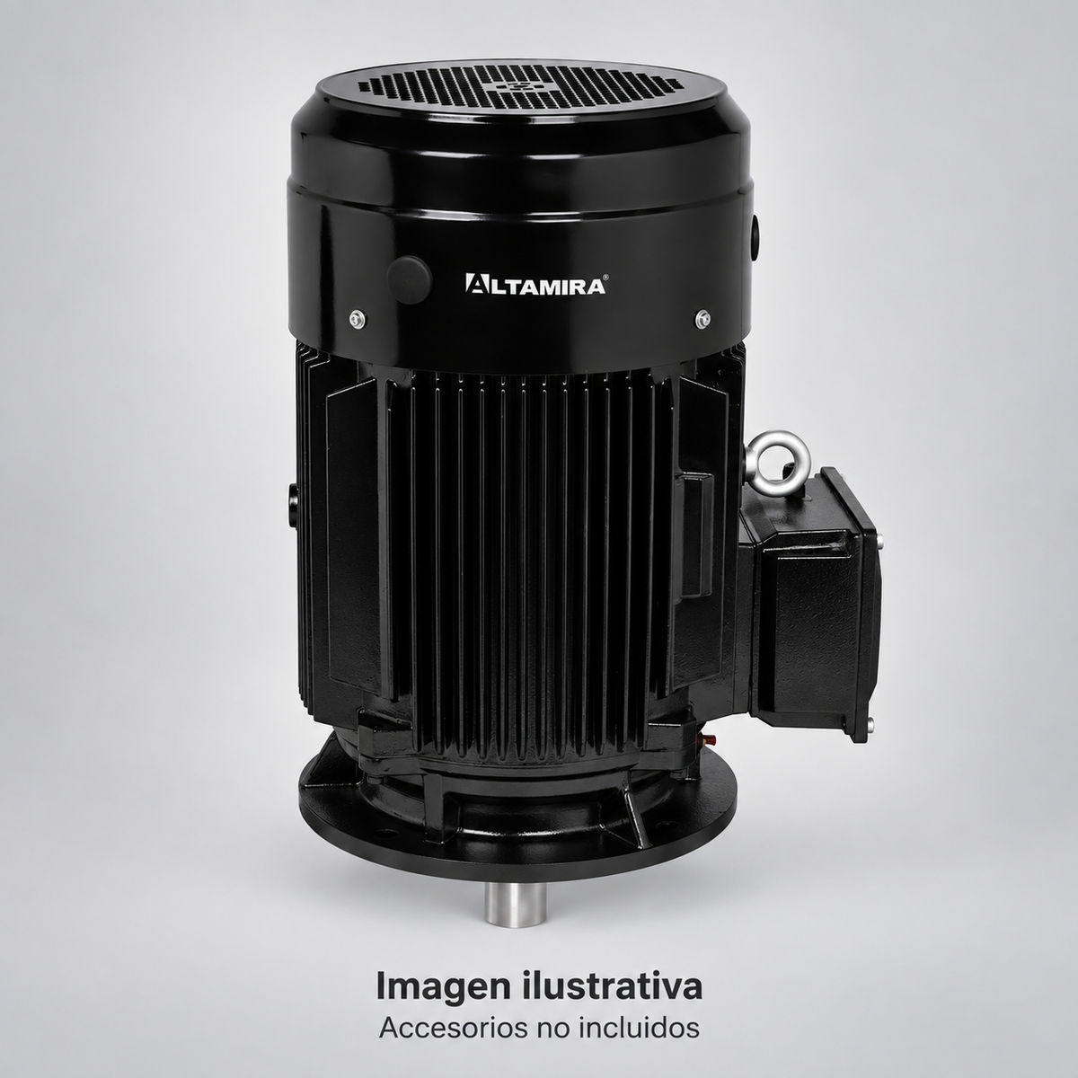 Imagen ilustrativa complementaria de motor vertical ALTAMIRA aislado, vista de estudio. Accesorios no incluidos. Consultar fotografía oficial y características del modelo.