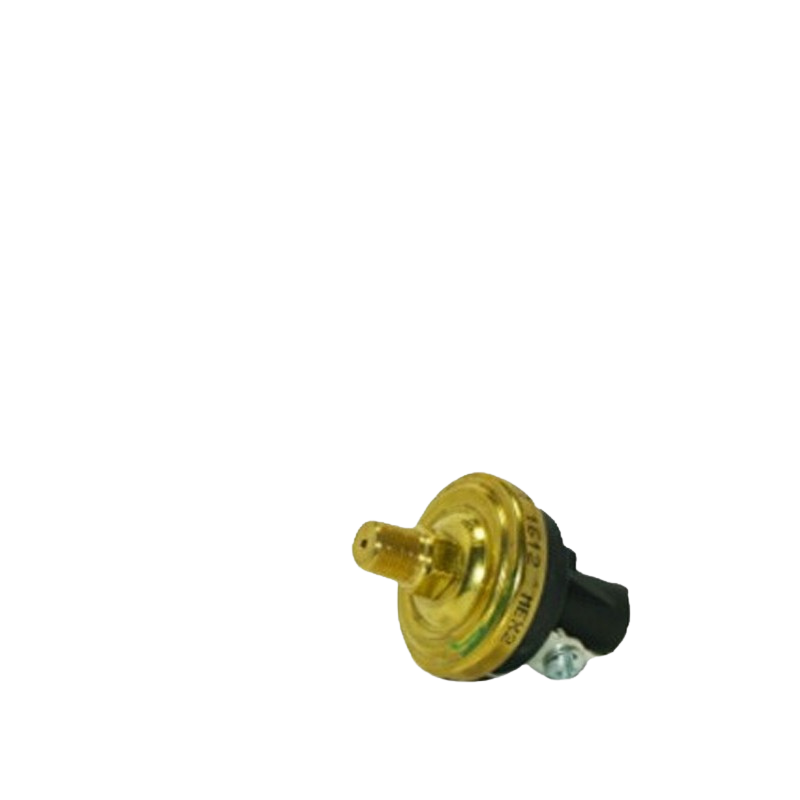 INTERRUPTOR DE PRESION MOD. LF20 (1/8"-27NPT) MCA. LEFOO — Fotografía del proveedor